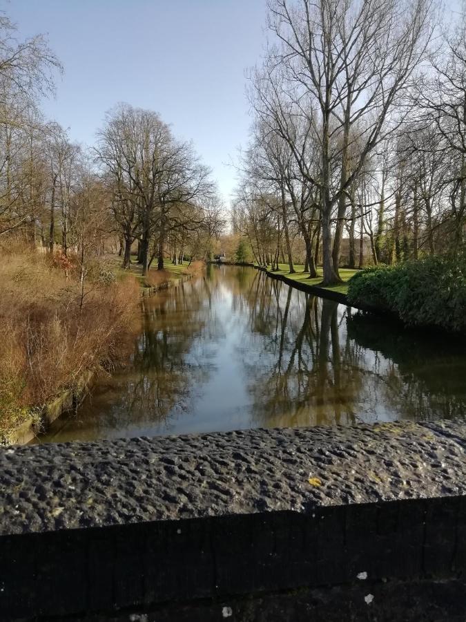 Mooie Zwaantjes Brugge Lägenhet Exteriör bild